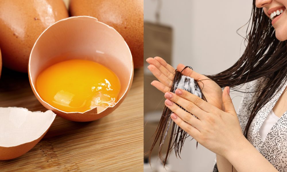  Ủ tóc tại nhà bằng trứng gà giúp tóc chắc khỏe 